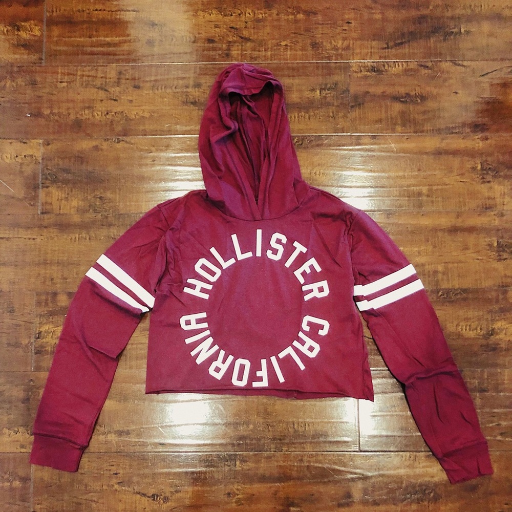 Unused Hollister Graphic Long Sleeve Hoodie ✨